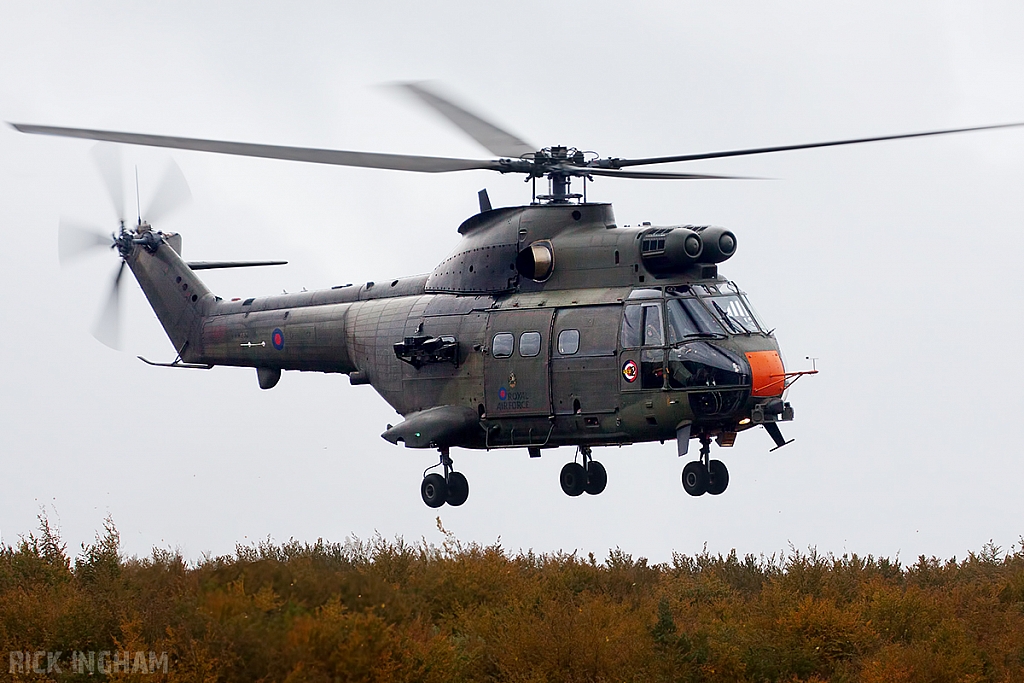 Eurocopter Puma HC2 - XW216 - QinetiQ