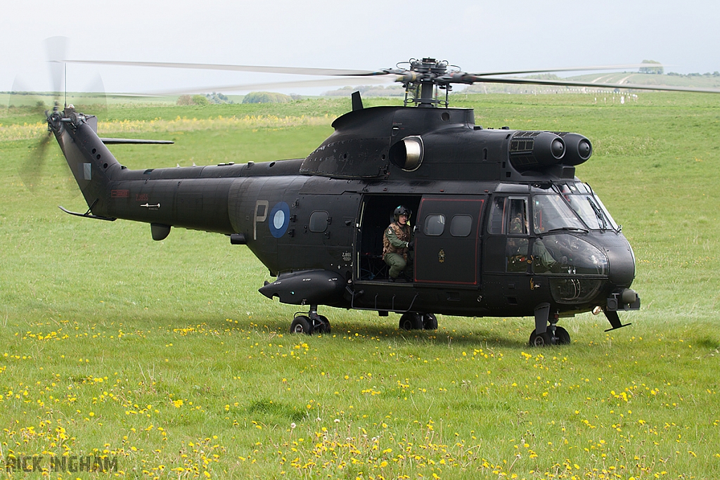 Eurocopter Puma HC2 - ZJ955 - RAF