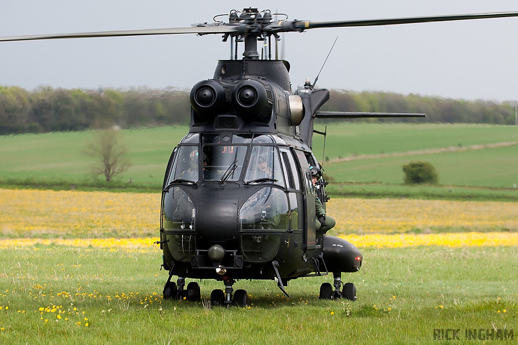 Eurocopter Puma HC2 - ZJ955 - RAF