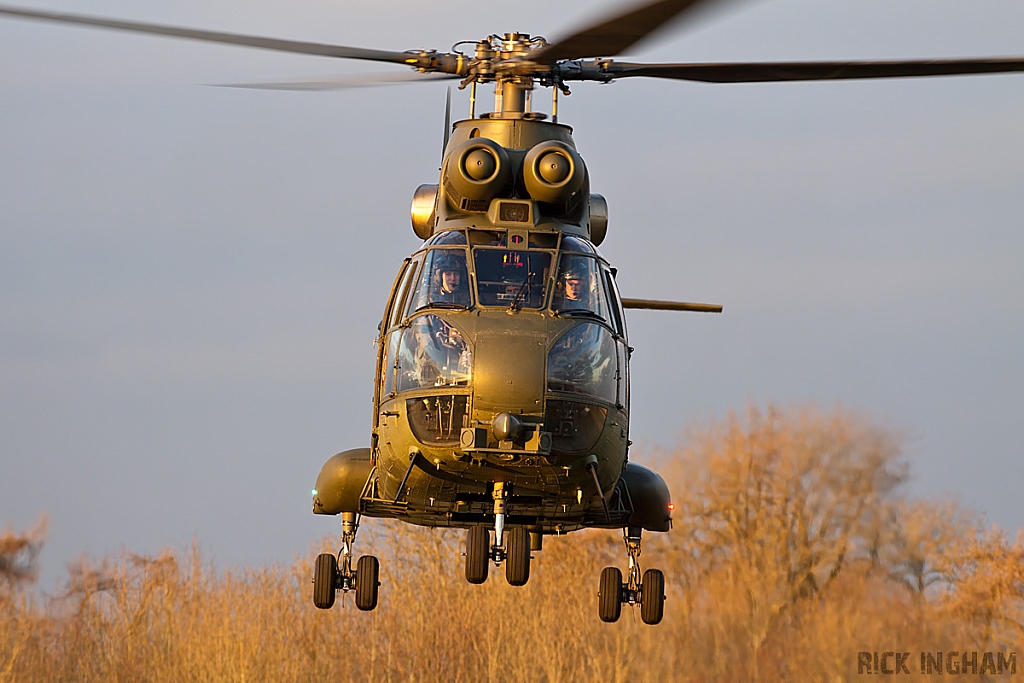 Eurocopter Puma HC2 - XW216 - QinetiQ