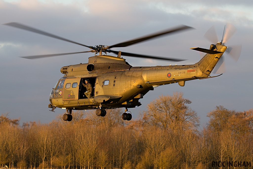 Eurocopter Puma HC2 - XW216 - QinetiQ