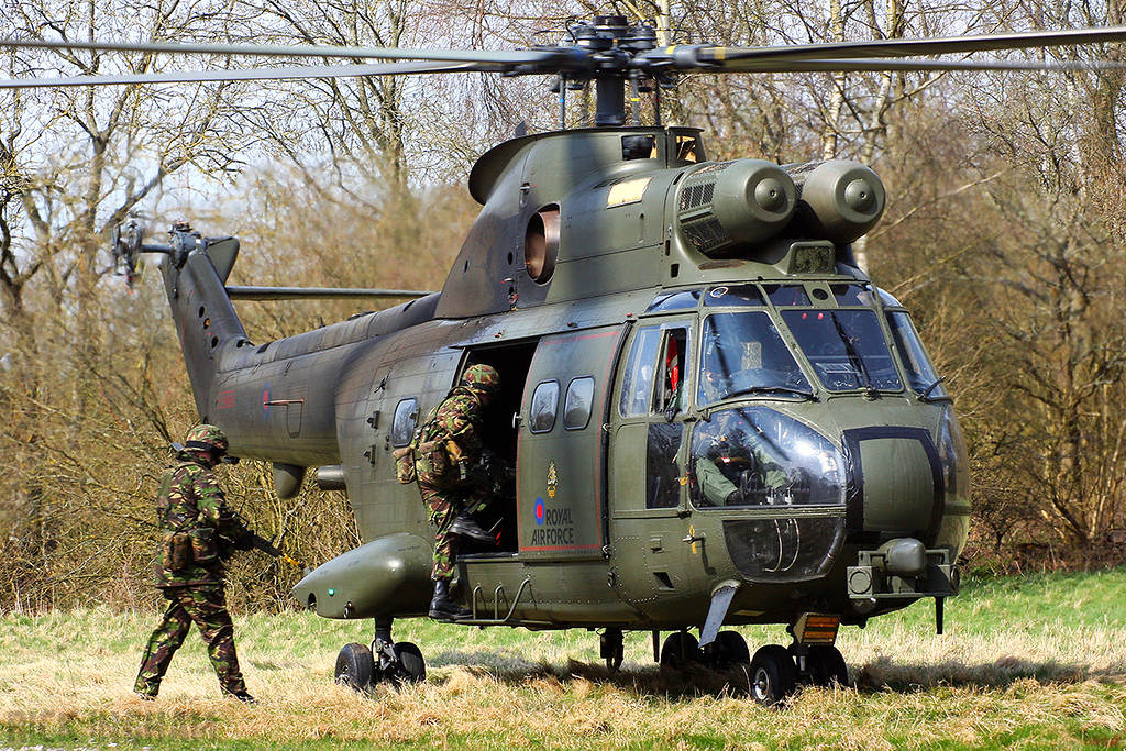 Westland Puma HC1 - ZJ954 - RAF