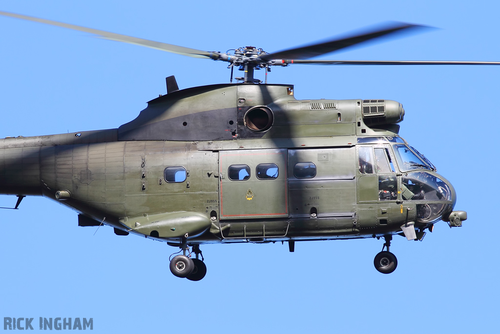 Westland Puma HC1 - ZJ955 - RAF
