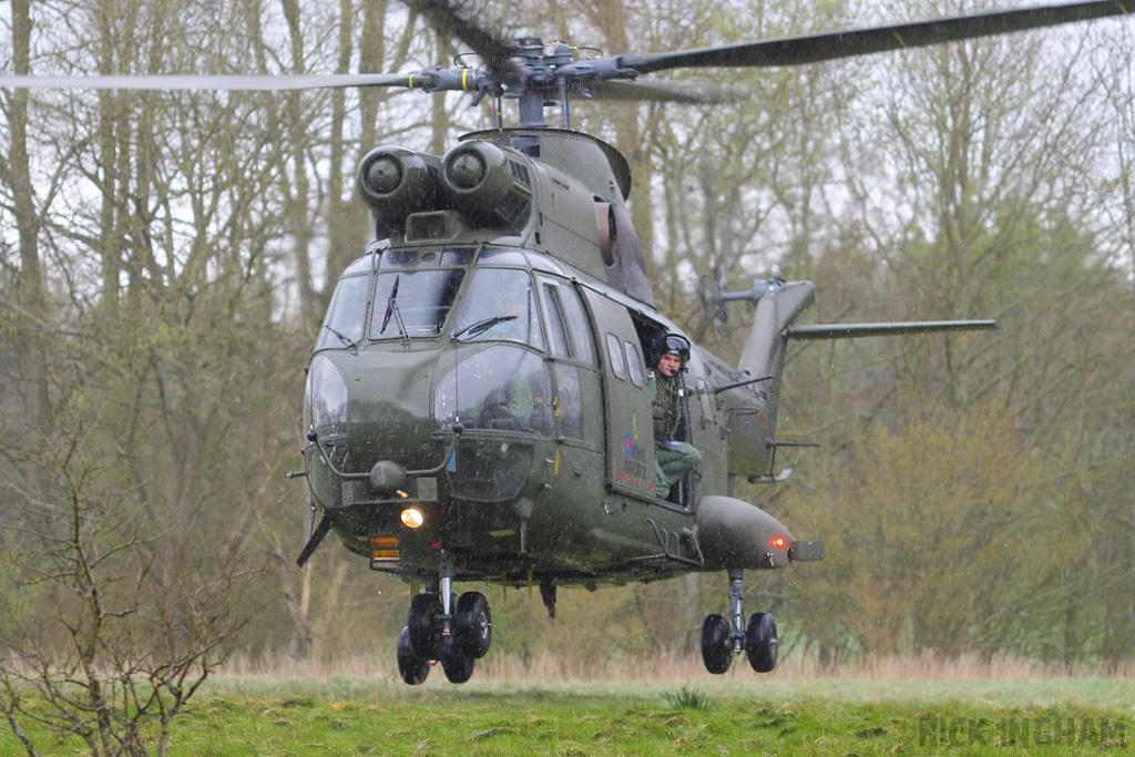 Westland Puma HC1 - XW222 - RAF