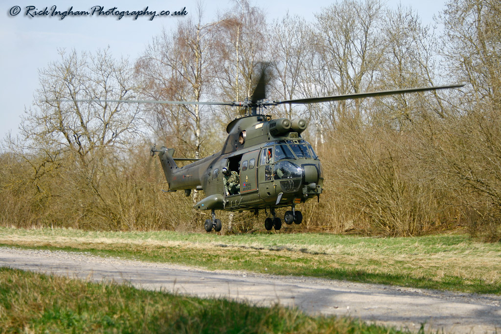 Westland Puma HC1 - ZJ954 - RAF