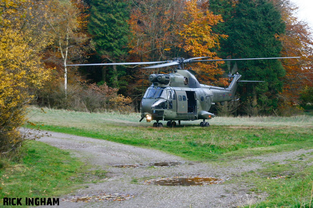 Westland Puma HC1 - XW211 - RAF