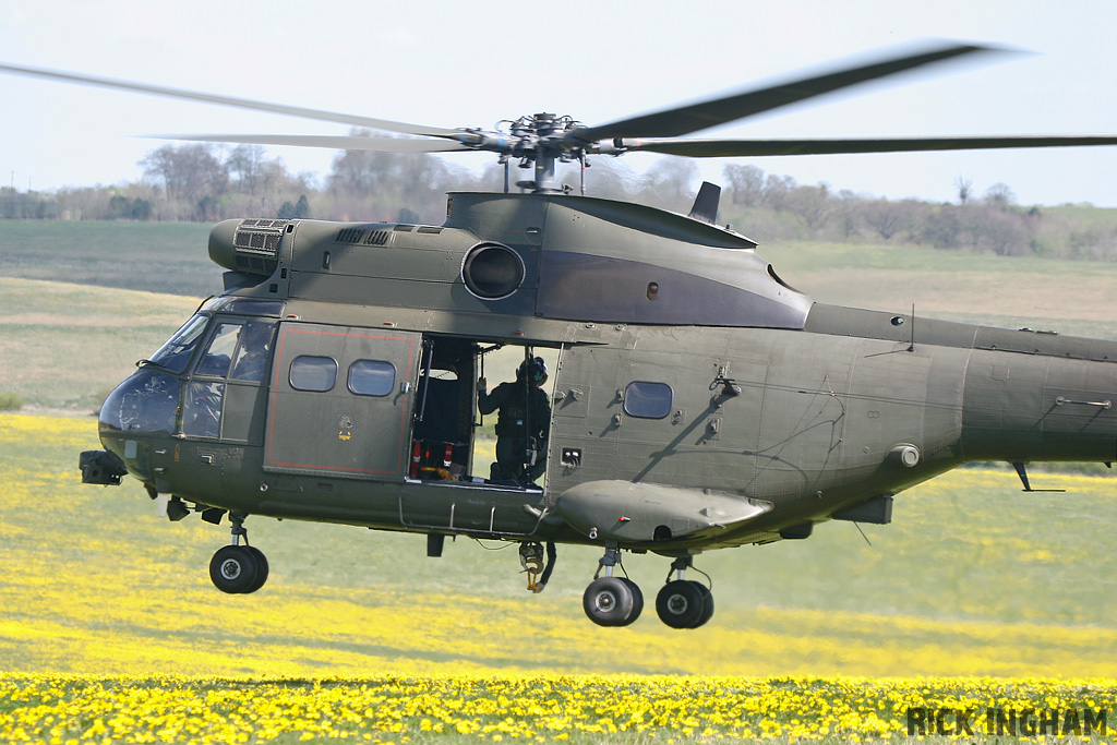 Westland Puma HC1 - XW231 - RAF