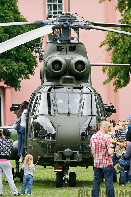 Westland Puma HC1 - XW213 - RAF