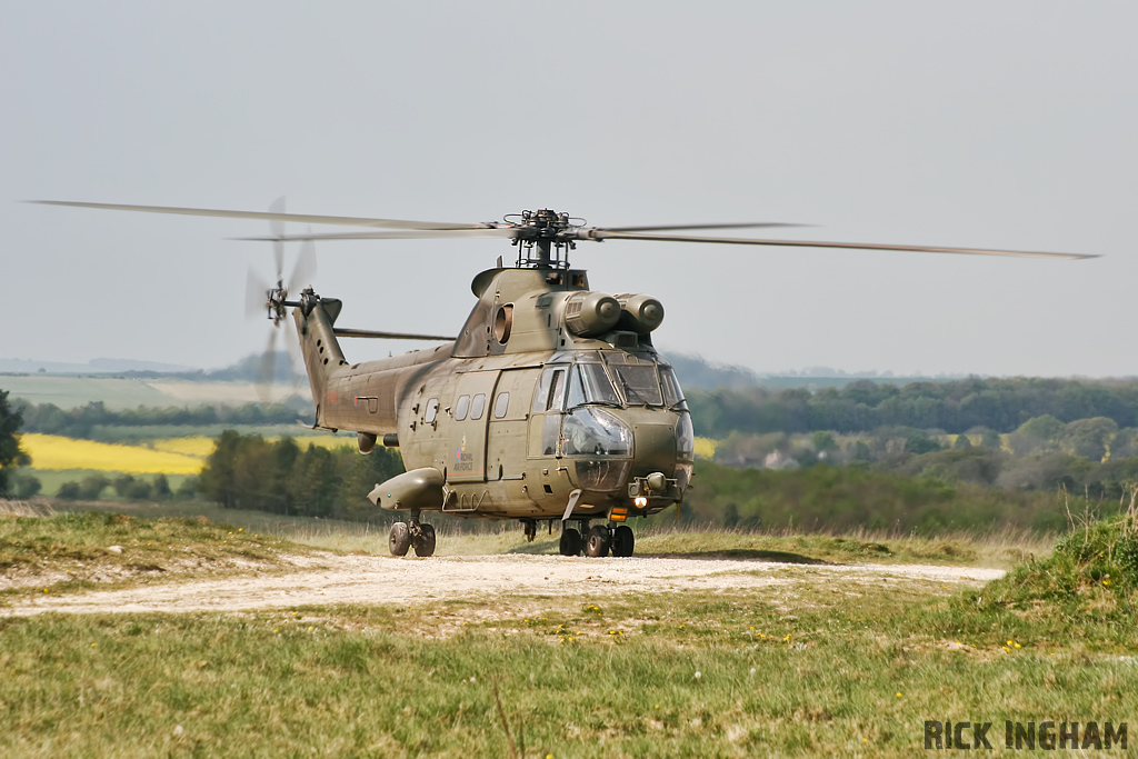 Westland Puma HC1 - XW231 - RAF