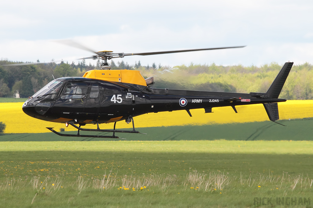 Eurocopter Squirrel HT2 - ZJ245 - AAC