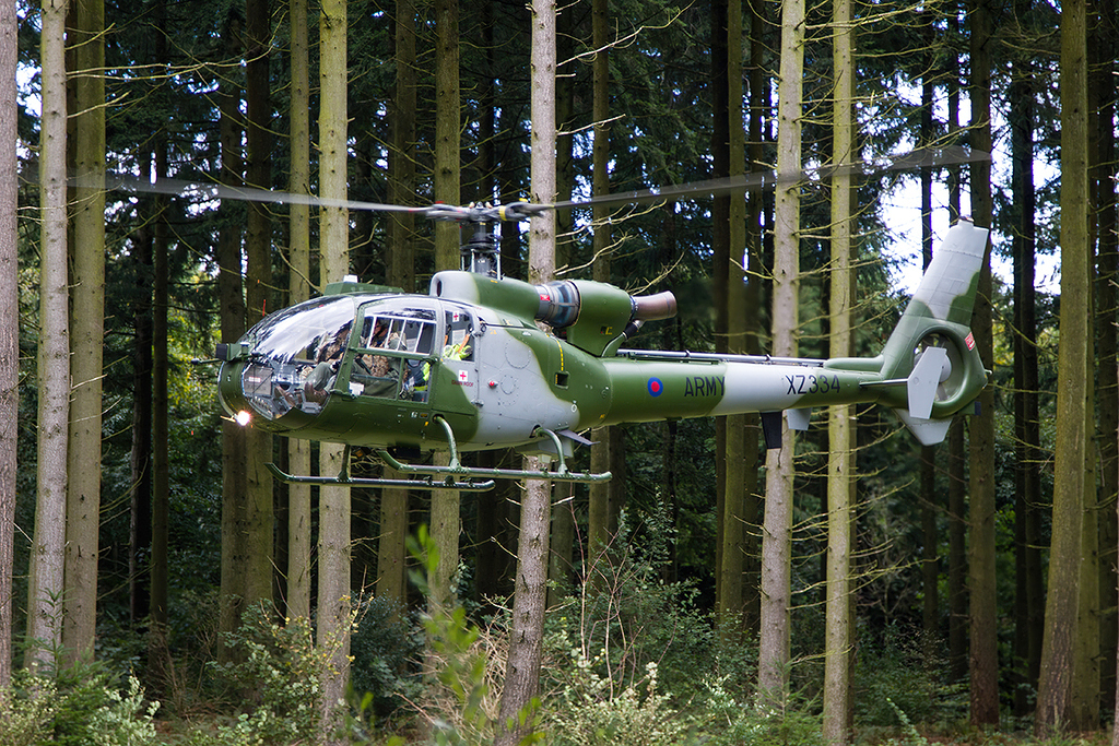 Westland Gazelle AH1 - XZ334 - AAC