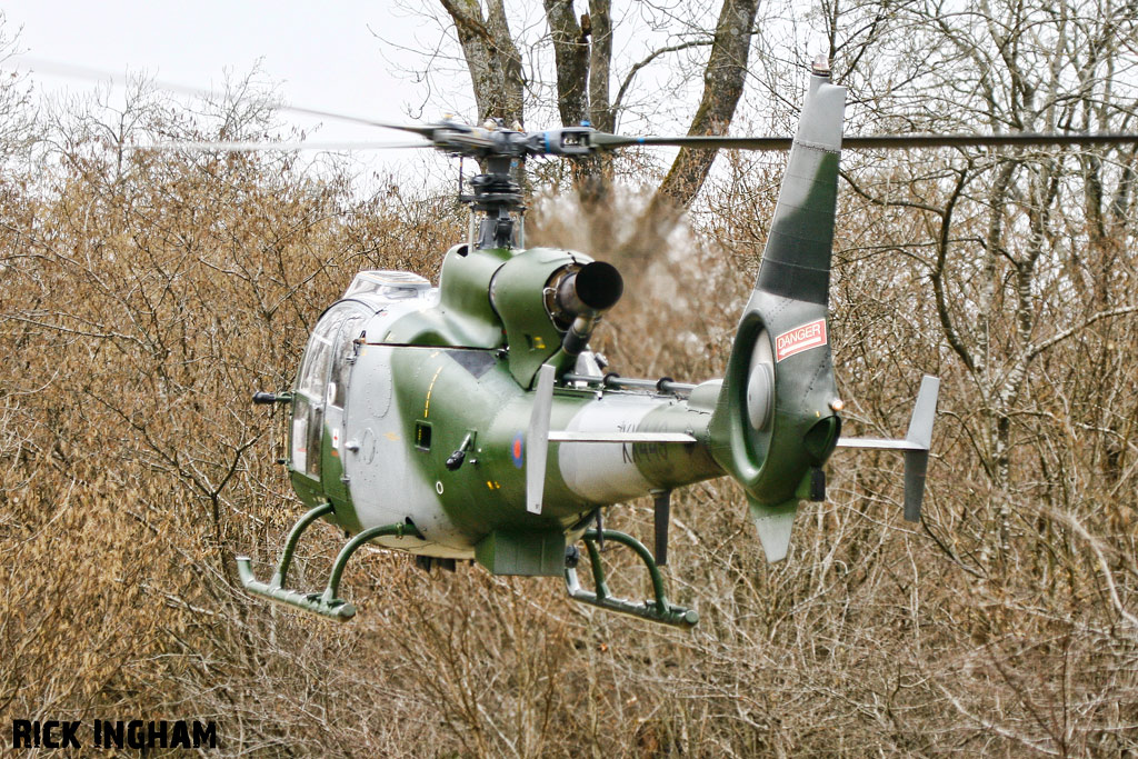 Westland Gazelle AH1 - XX449 - QinetiQ