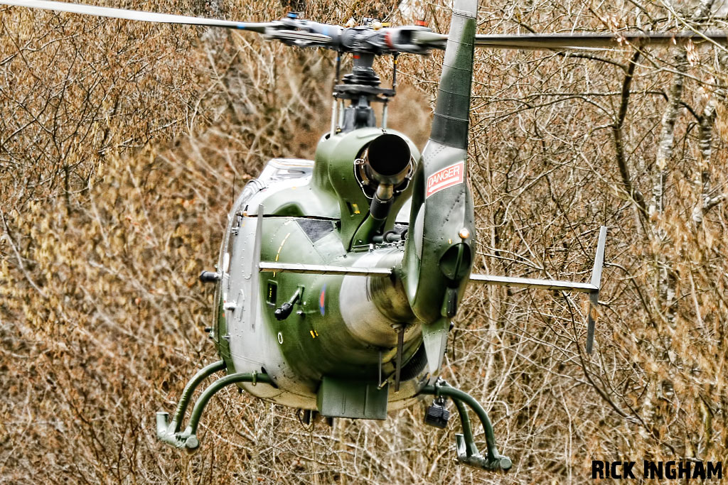 Westland Gazelle AH1 - XX449 - QinetiQ