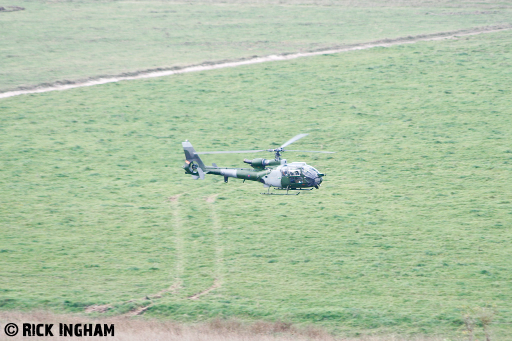 Westland Gazelle AH1 - XX453 - QinetiQ