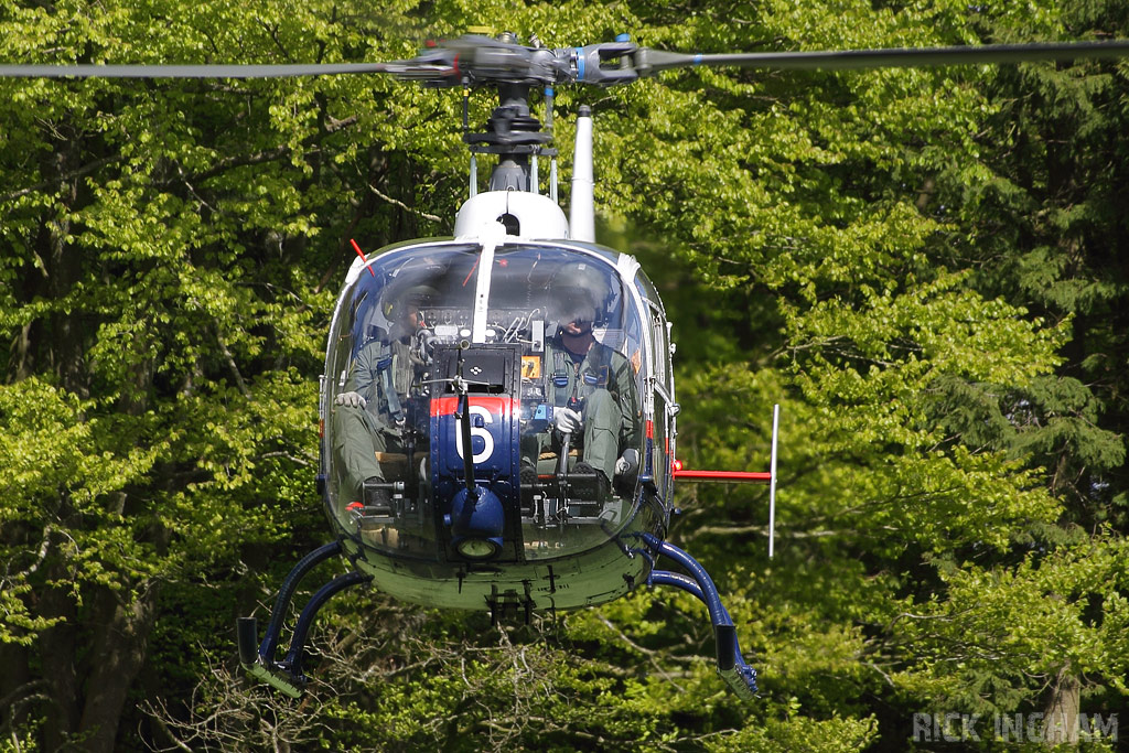 Westland Gazelle HT3 - XZ936 - QinetiQ