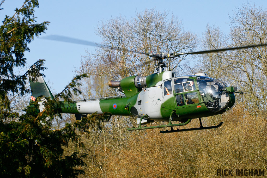 Westland Gazelle AH1 - XX449 - QinetiQ