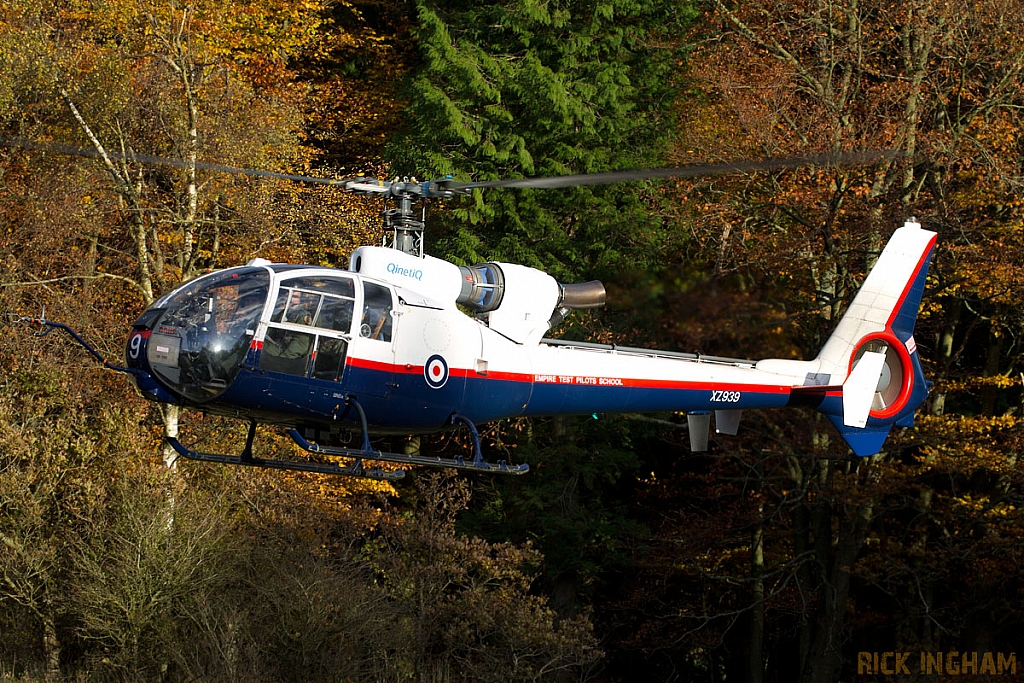 Westland Gazelle HT3 - XZ939 - QinetiQ