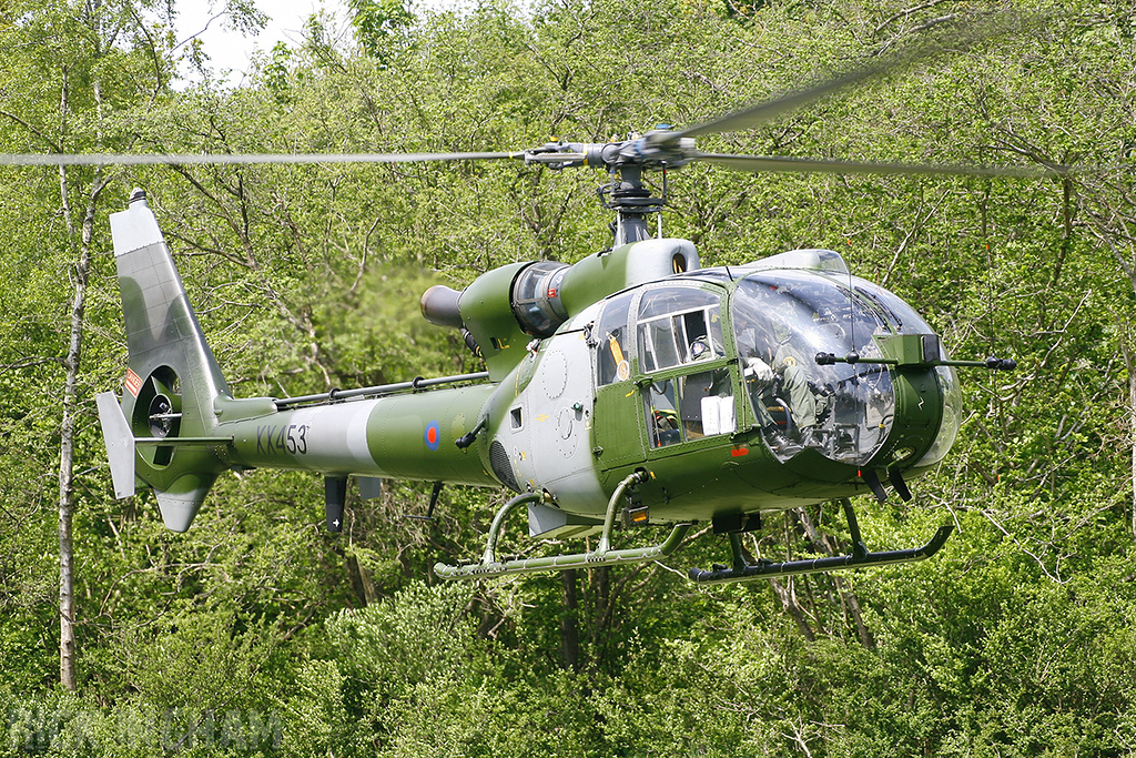 Westland Gazelle AH1 - XX453 - QinetiQ