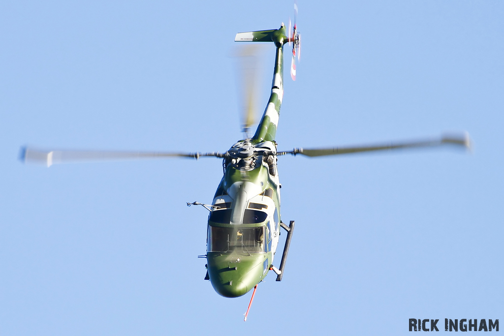 Westland Lynx AH5 - ZD559 - QinetiQ