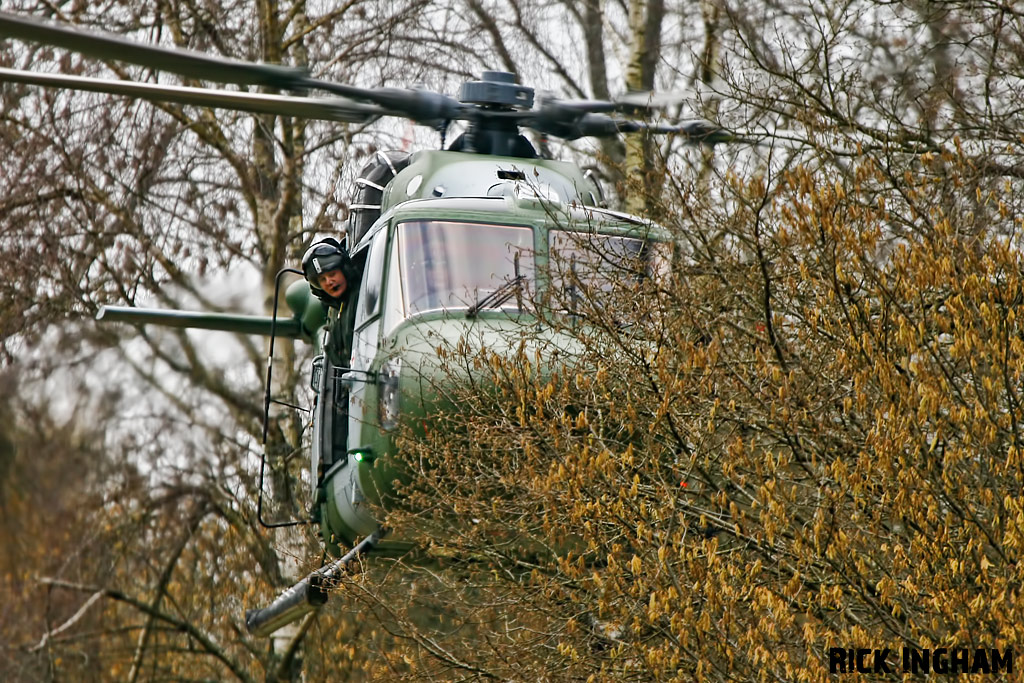 Westland Lynx AH7 - XZ191 - AAC