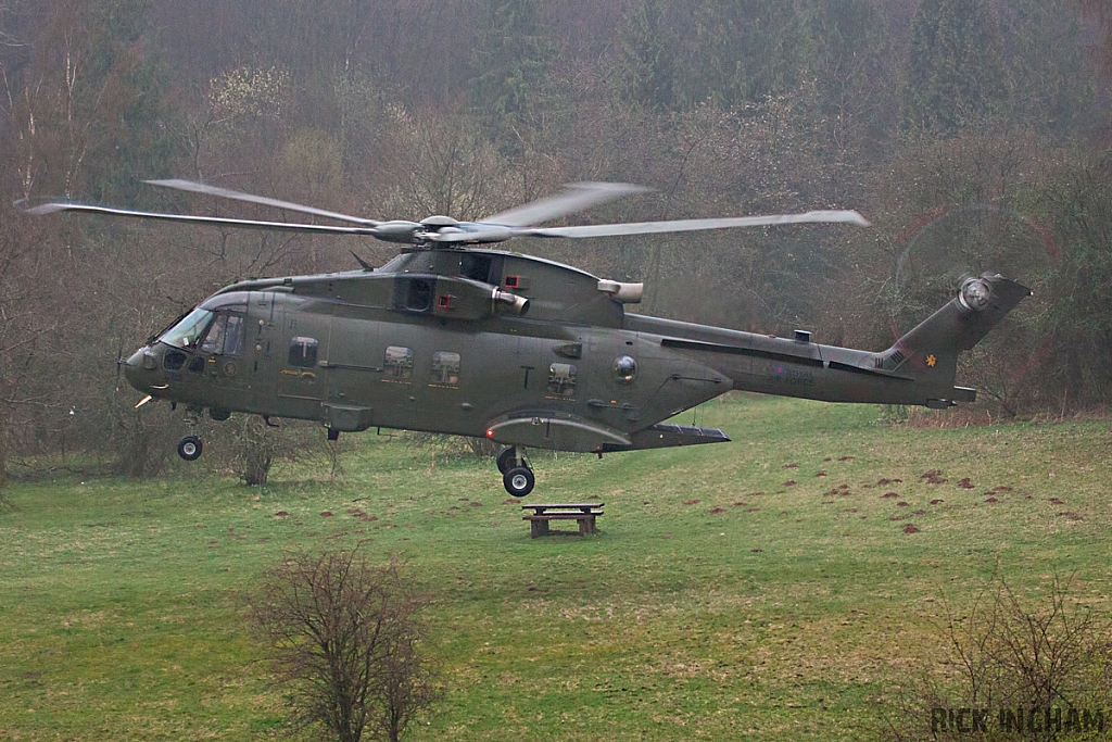 Westland Merlin HC3 - ZJ135/T - RAF