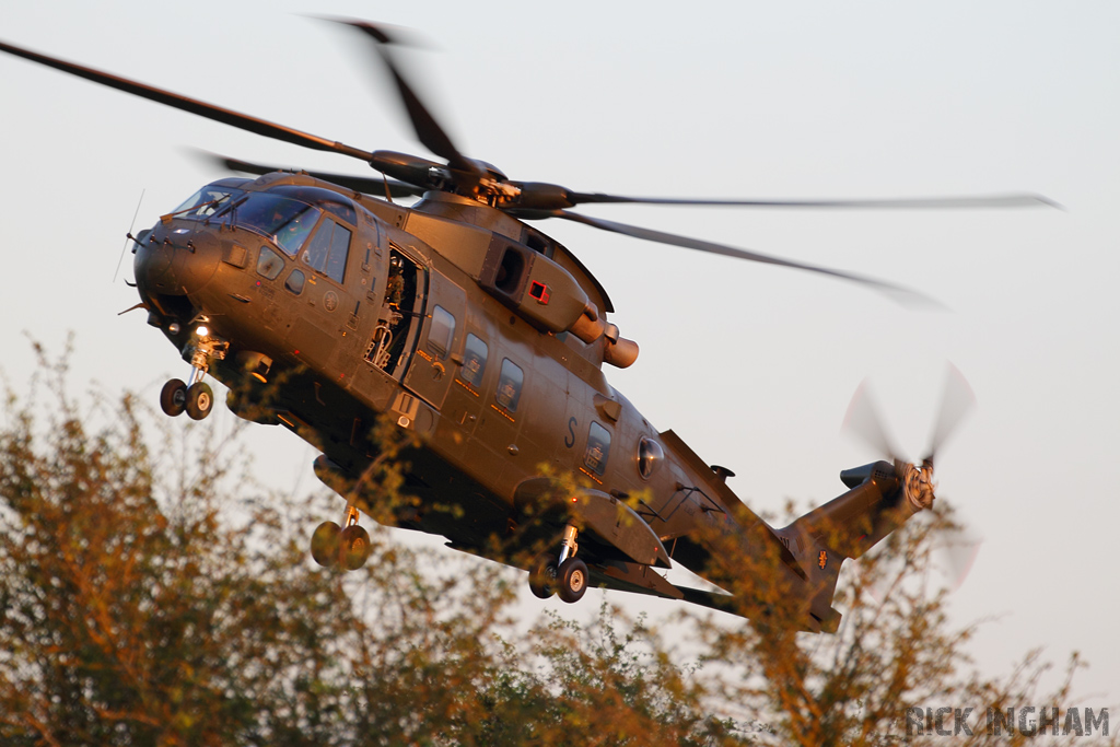 Westland Merlin HC3 - ZJ134/S - RAF