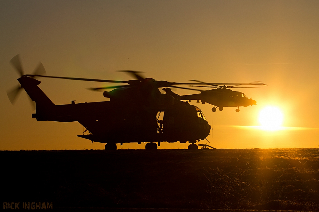 Westland Merlin HC3 - ZJ134/S - RAF