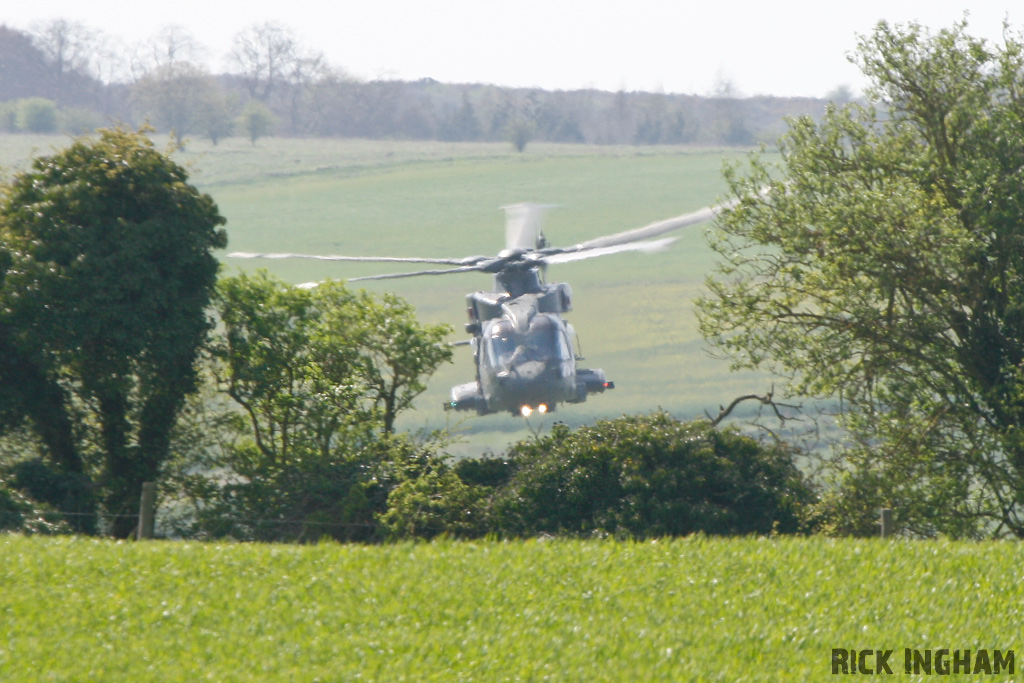 Westland Merlin HC3 - ZJ137/W - RAF