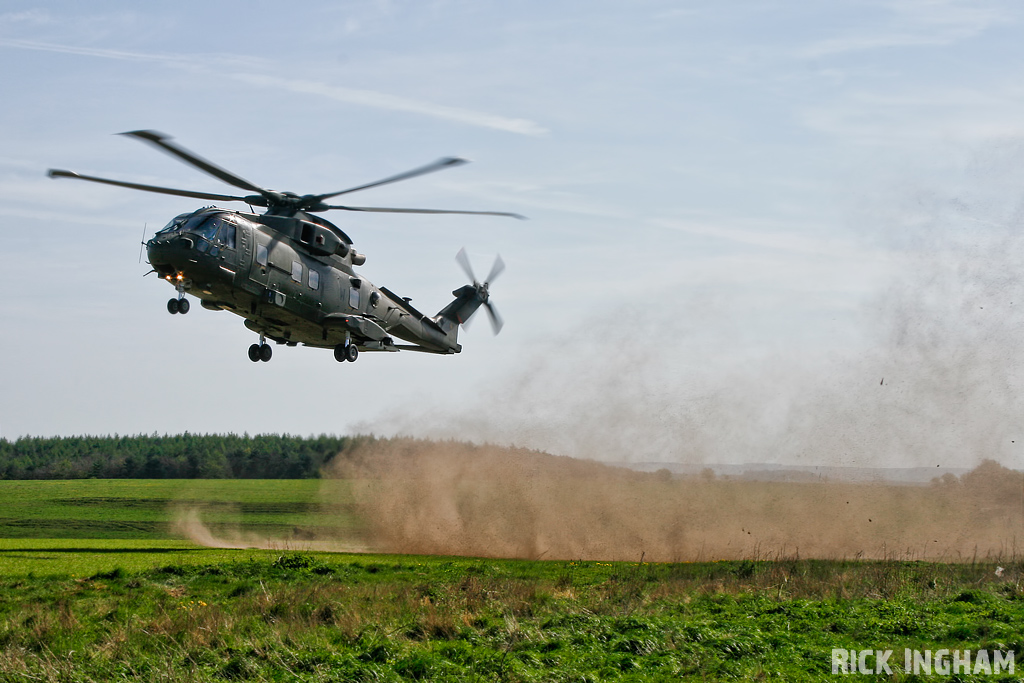 Westland Merlin HC3 - ZJ137/W - RAF