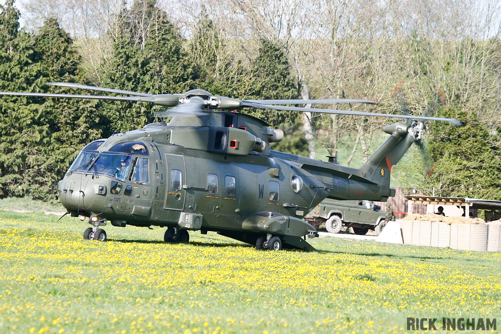 Westland Merlin HC3 - ZJ137/W - RAF