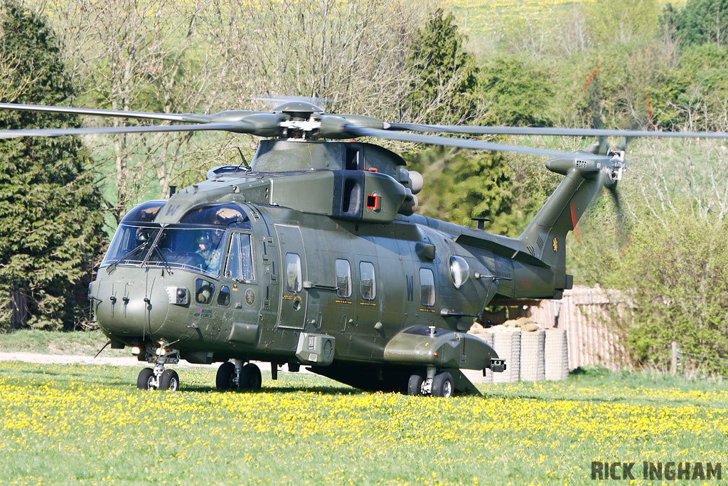 Westland Merlin HC3 - ZJ137/W - RAF