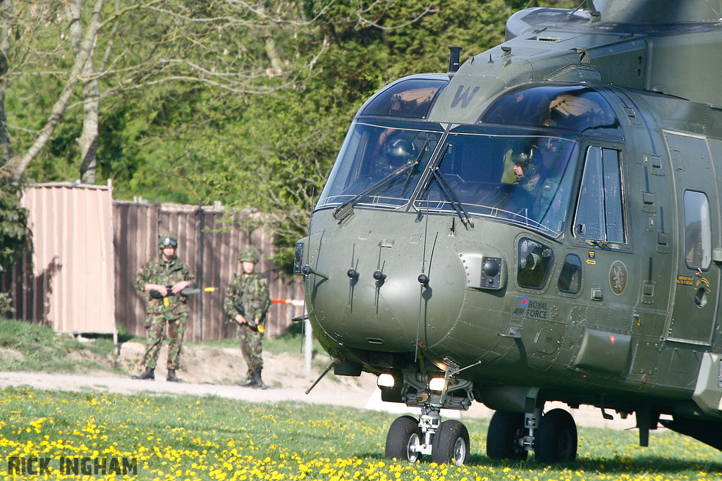 Westland Merlin HC3 - ZJ137/W - RAF