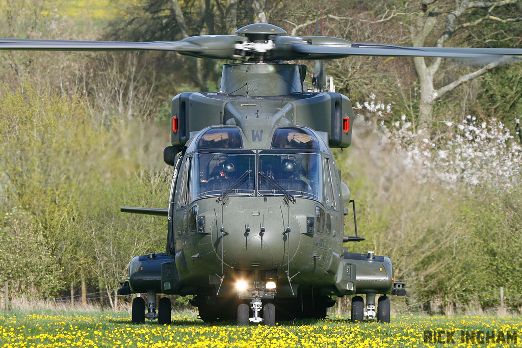 Westland Merlin HC3 - ZJ137/W - RAF