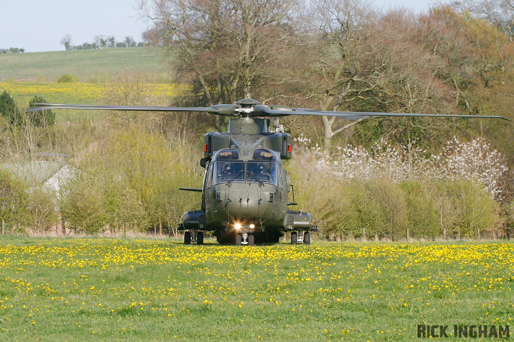 Westland Merlin HC3 - ZJ137/W - RAF