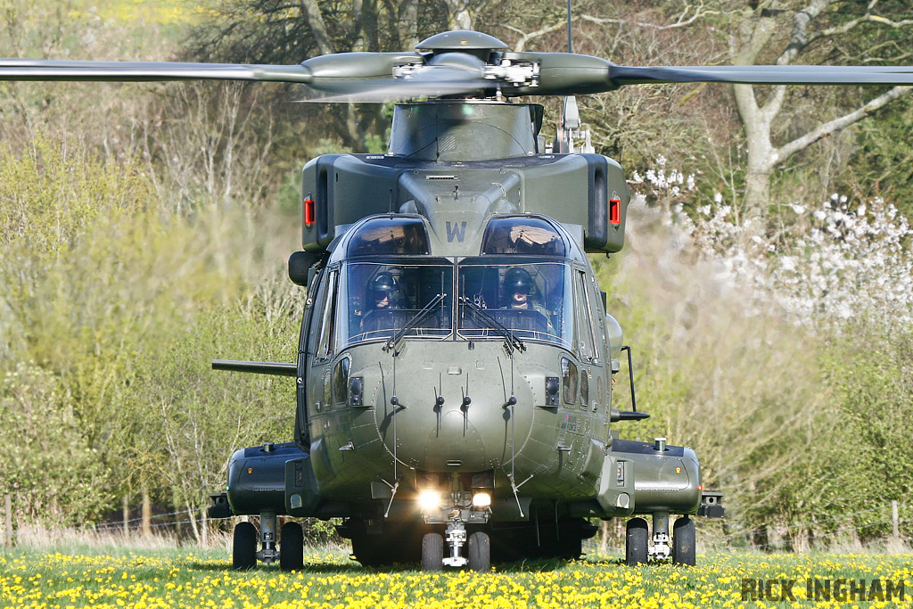 Westland Merlin HC3 - ZJ137/W - RAF