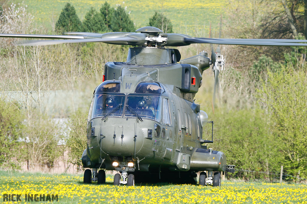 Westland Merlin HC3 - ZJ137/W - RAF