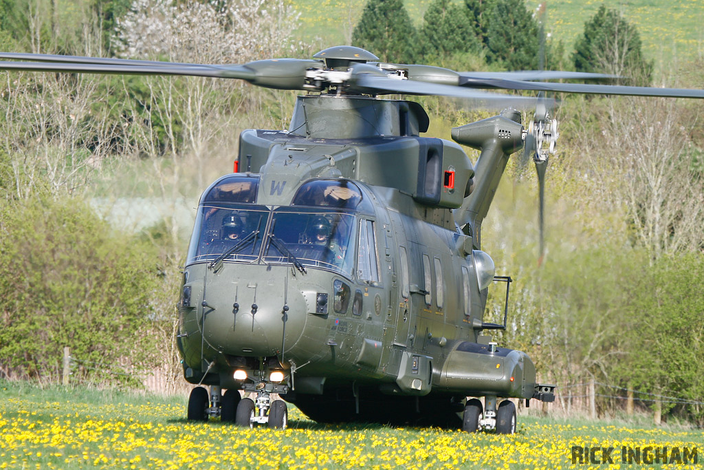 Westland Merlin HC3 - ZJ137/W - RAF