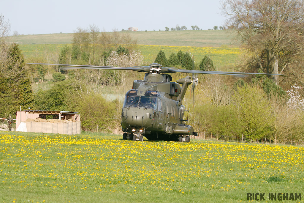 Westland Merlin HC3 - ZJ137/W - RAF