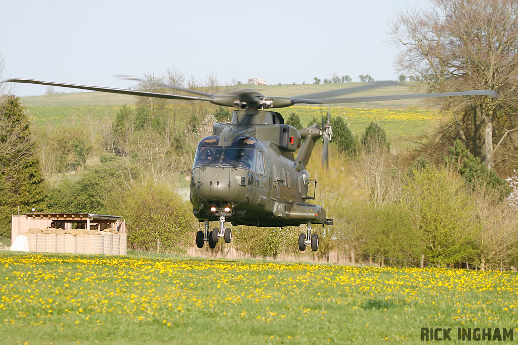 Westland Merlin HC3 - ZJ137/W - RAF