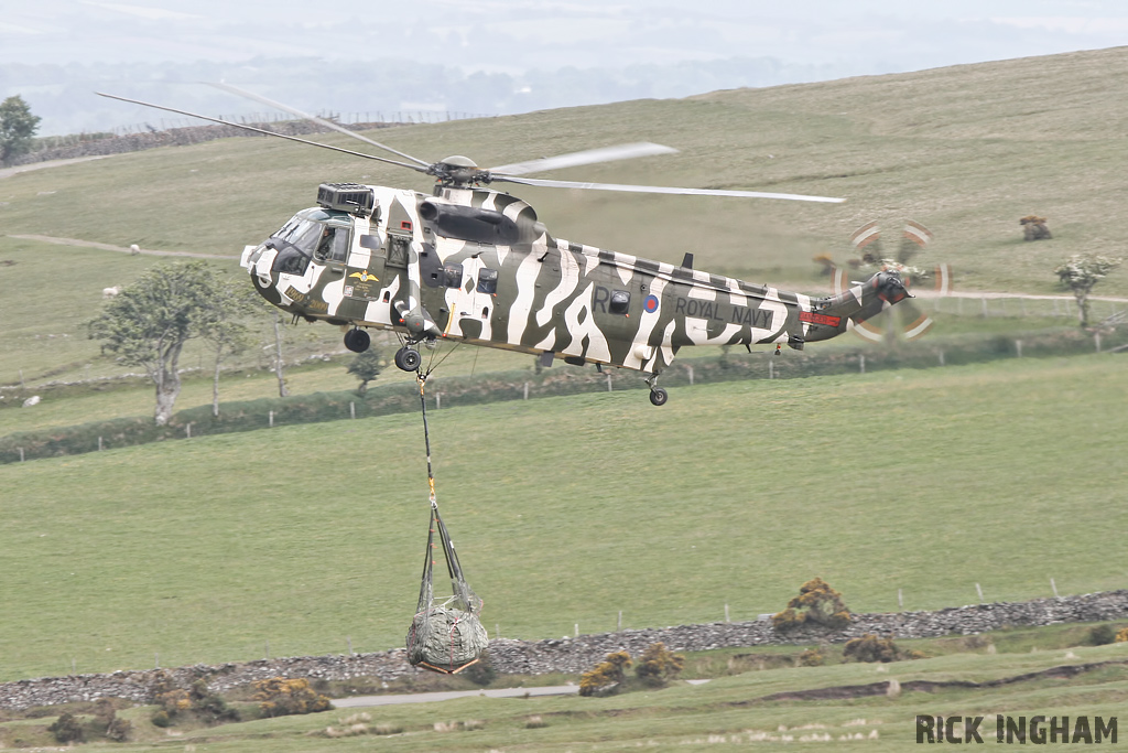 Westland Sea King HC4 - ZF115/R(WV) - Royal Navy