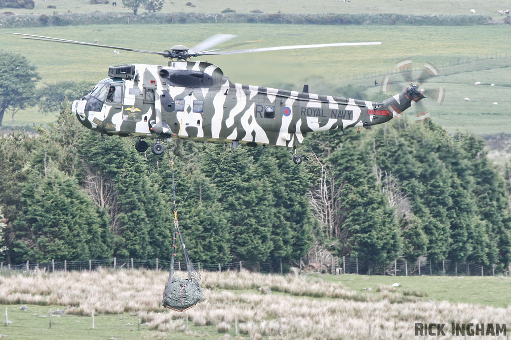 Westland Sea King HC4 - ZF115/R(WV) - Royal Navy