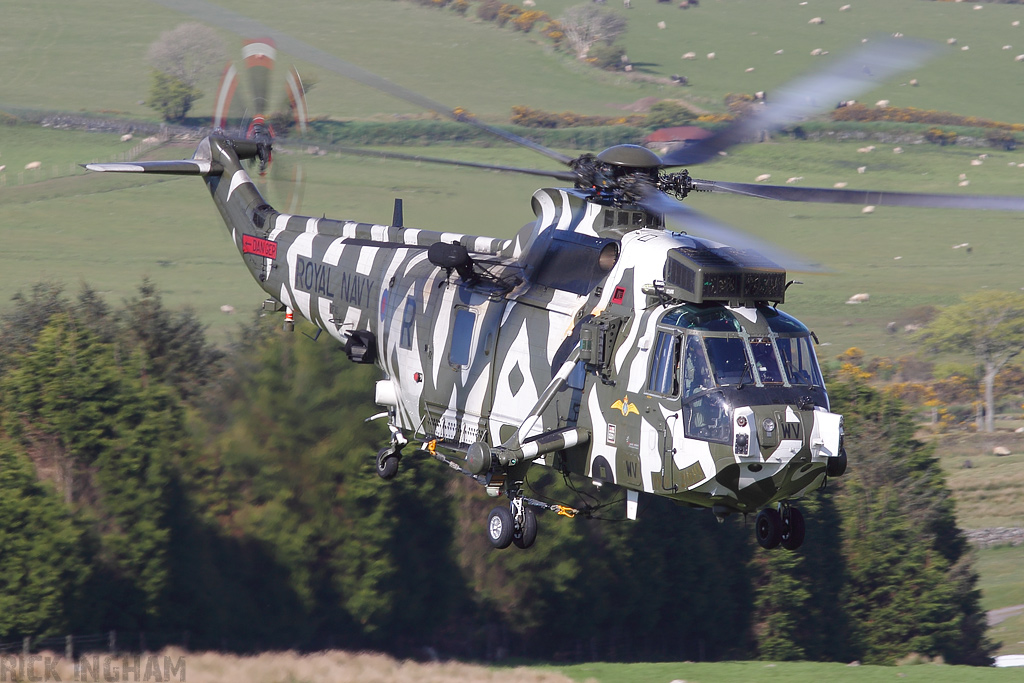 Westland Sea King HC4 - ZF115/R(WV) - Royal Navy