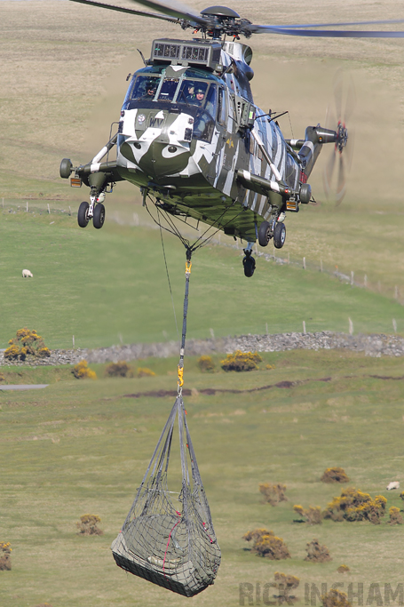 Westland Sea King HC4 - ZF115/R(WV) - Royal Navy