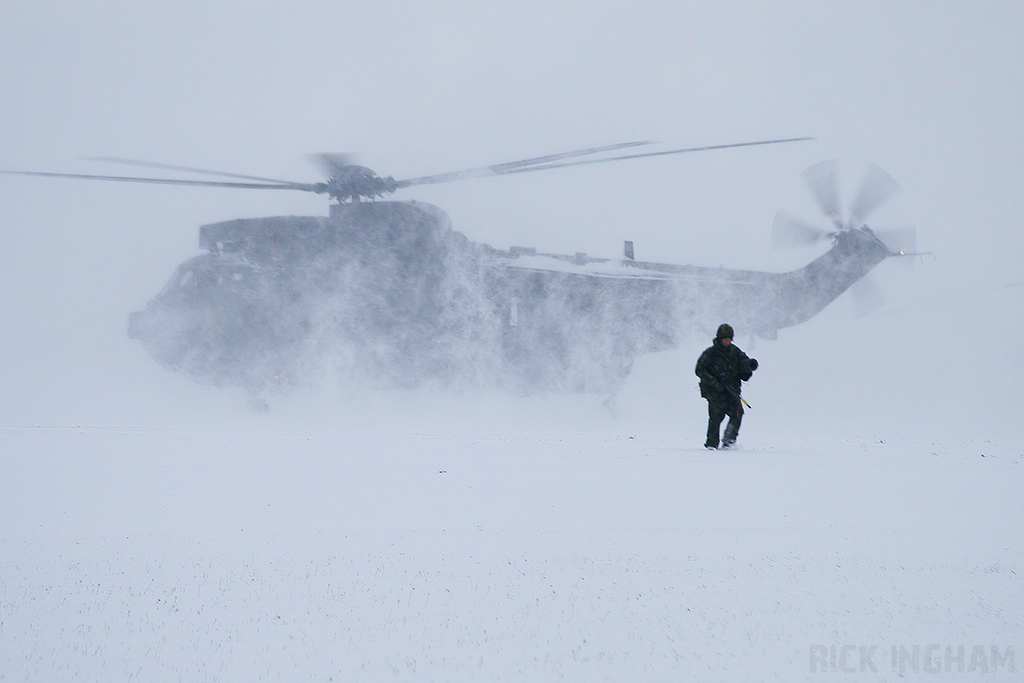 Westland Sea King HC4 - ZF117/X - Royal Navy