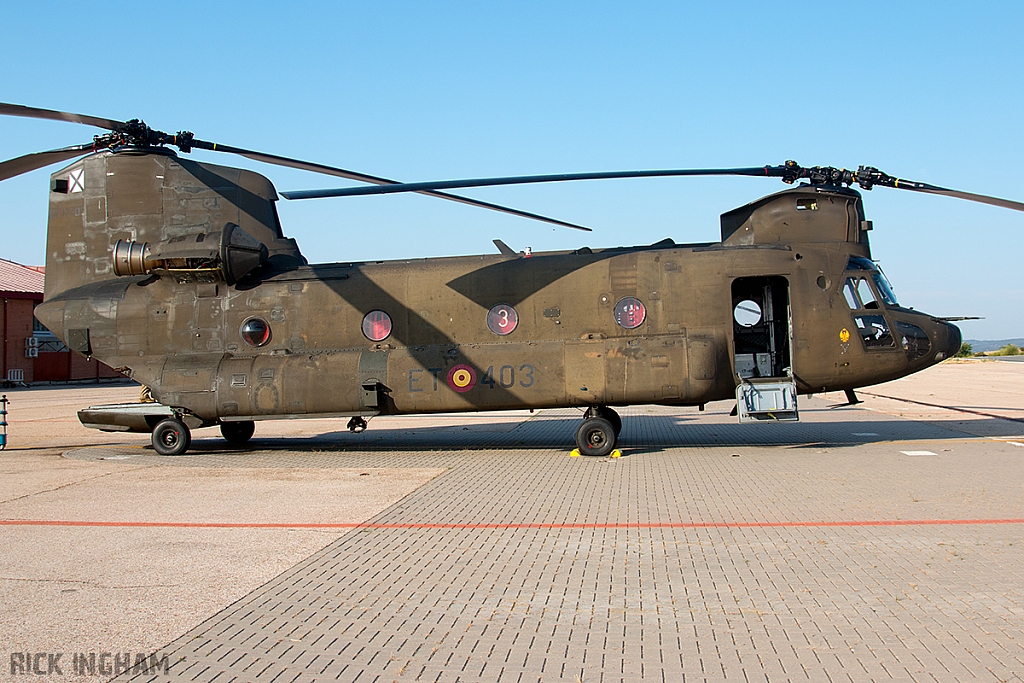 Boeing CH47D Chinook - HT.17-03 / ET-403 - Spanish Army