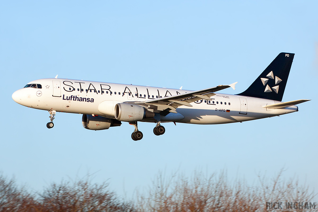 Airbus A320-211 - D-AIPD - Star Alliance | Lufthansa