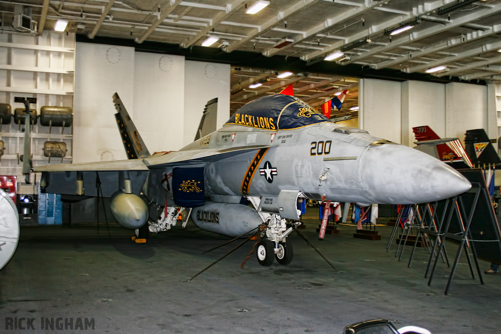 Boeing FA-18F Super Hornet - 166663/200 - US Navy
