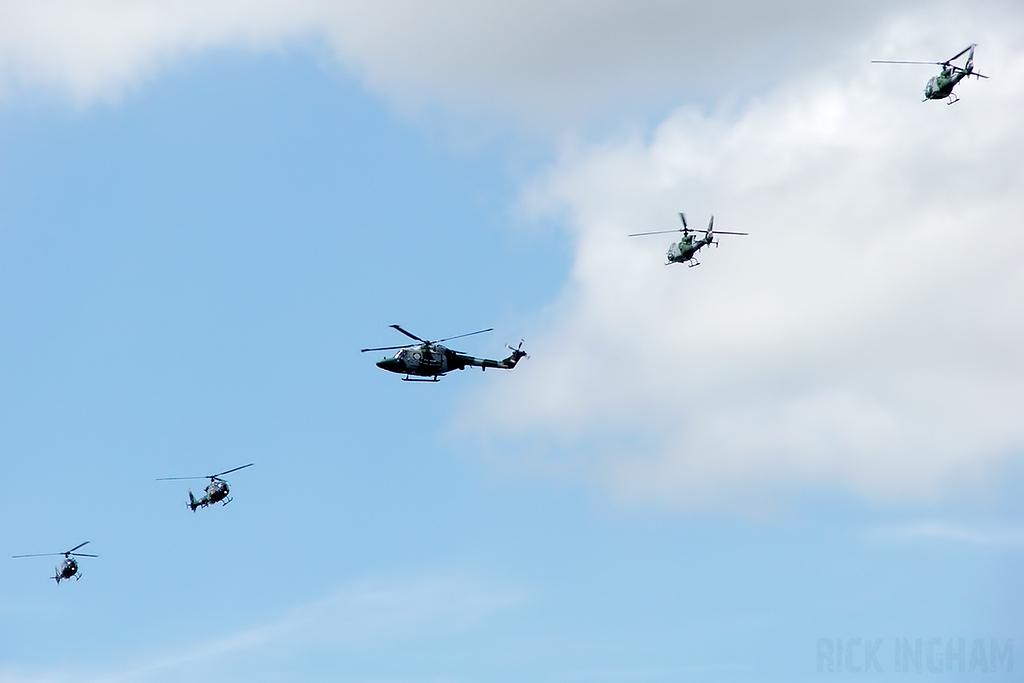 Westland Lynx AH7 - XZ647/Z + Westland Gazelle AH1 - XX447/D1 + XX448/S + XZ338/Y + ZA726/F1 - AAC