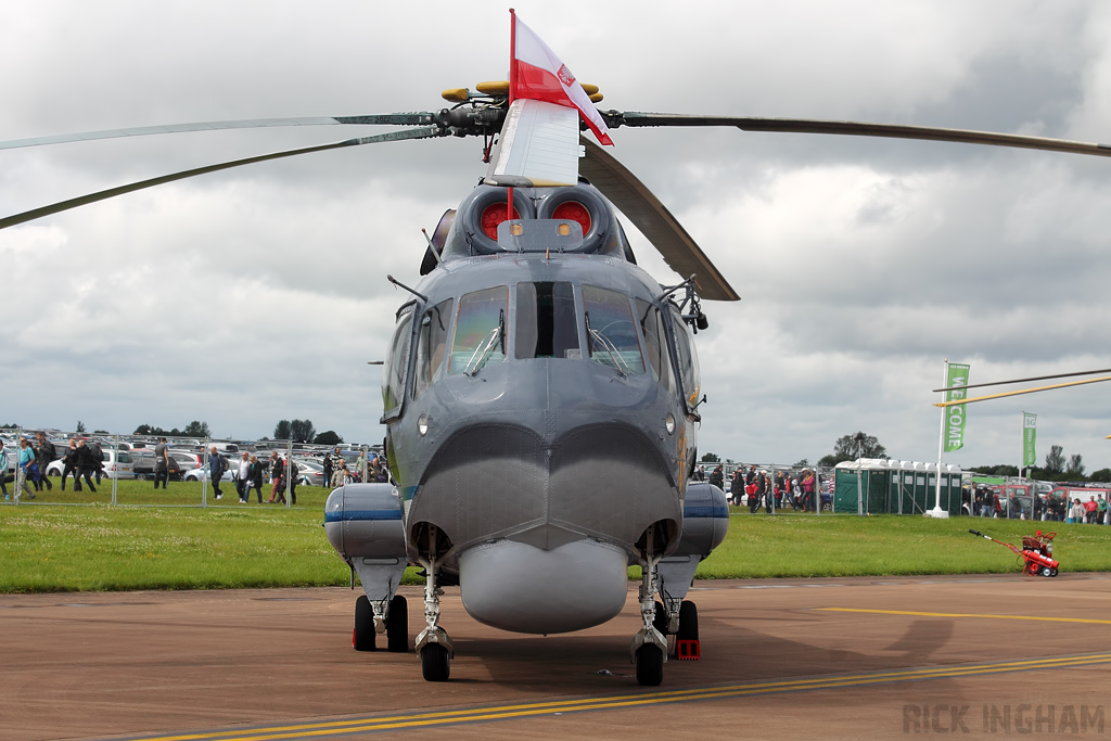 Mil Mi-14PL Haze - 1001 - Polish Navy