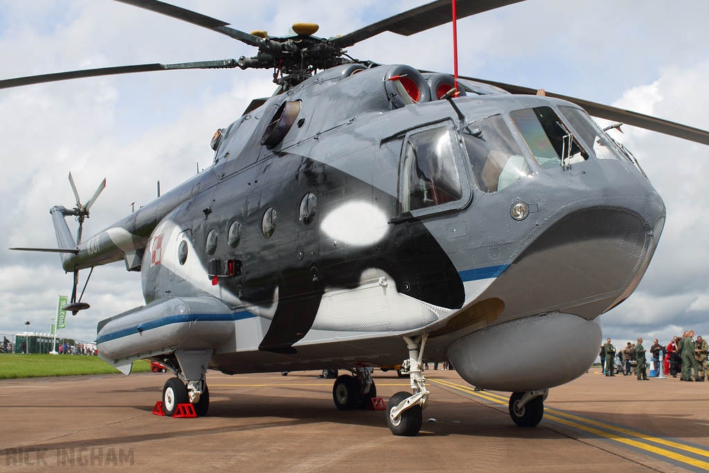 Mil Mi-14PL Haze - 1001 - Polish Navy